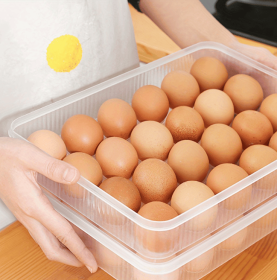 Deviled Egg Containers with Lid, (Set of 2),Stackable Plastic Egg Holder for 48 Eggs,Clear Egg Storage Holder for Fridge,Keep Fresh,Easter Deviled Egg Containers with Lid, (Set of 2),Stackable Plastic Egg Holder for 48 Eggs,Clear Egg Storage Holder for Fridge,Keep Fresh,Easter